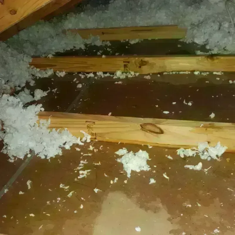 Attic Water Damage in Greybull, WY