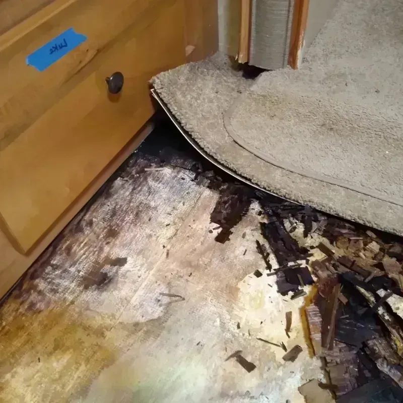 Wood Floor Water Damage in Greybull, WY